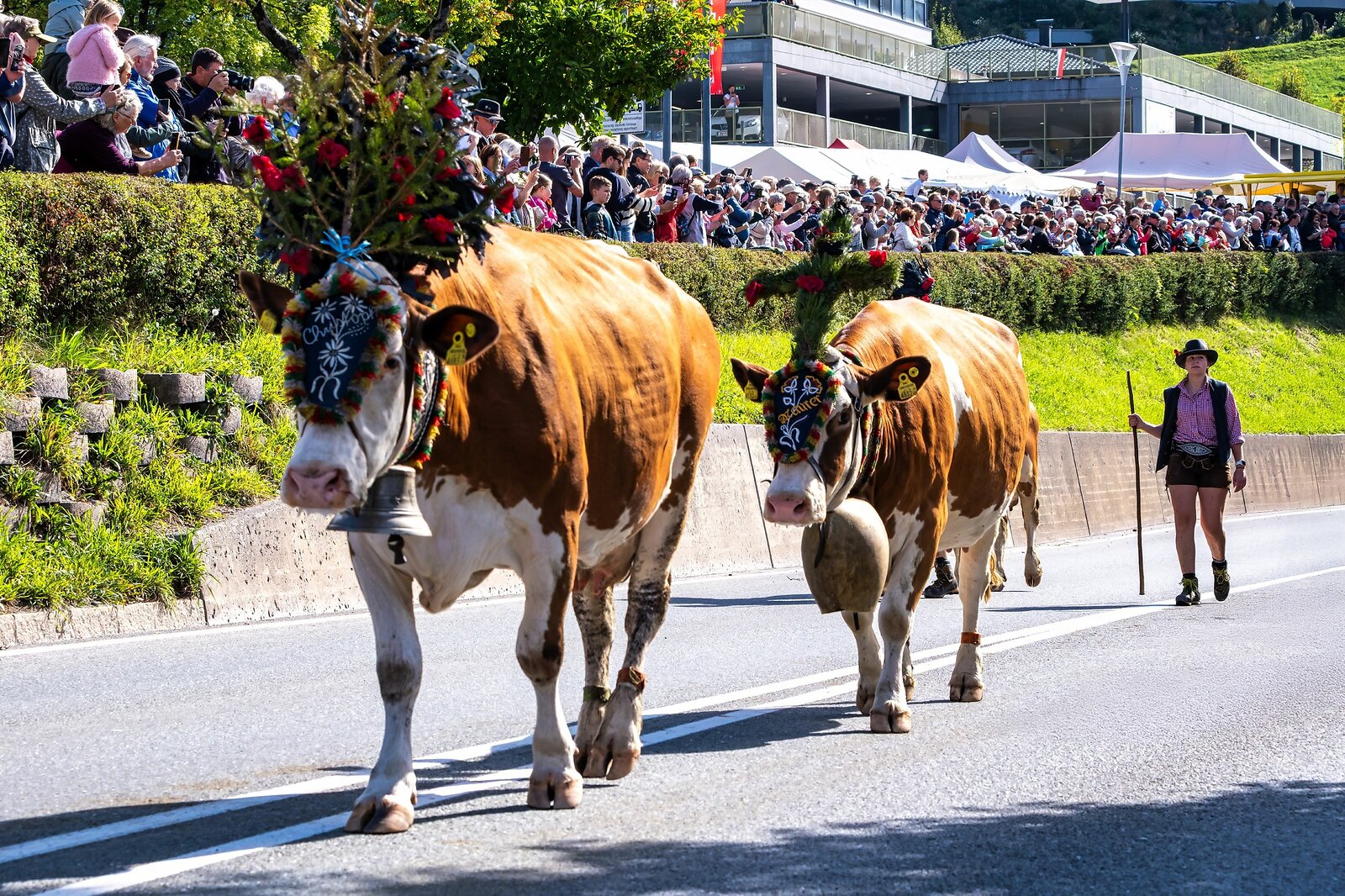 Almabtrieb Hopfgarten