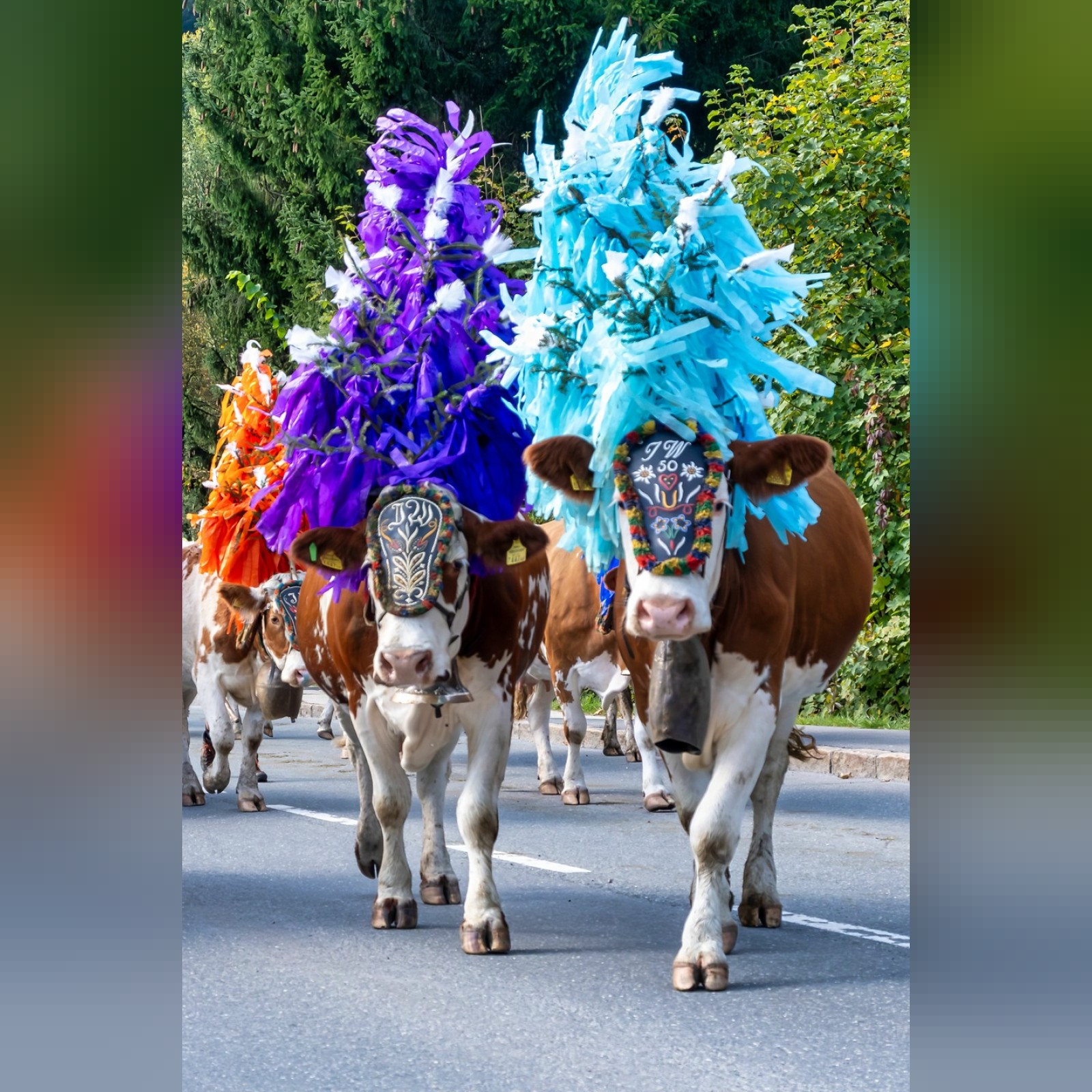 Almabtrieb Hopfgarten