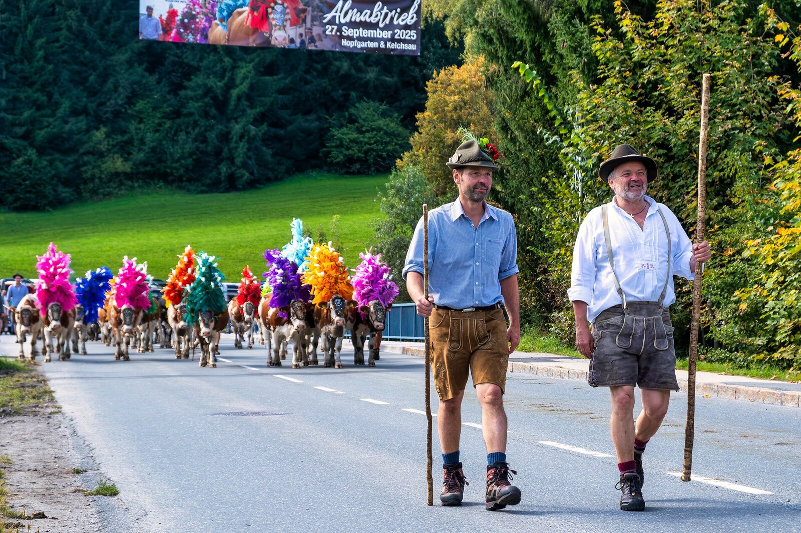 Almabtrieb Hopfgarten