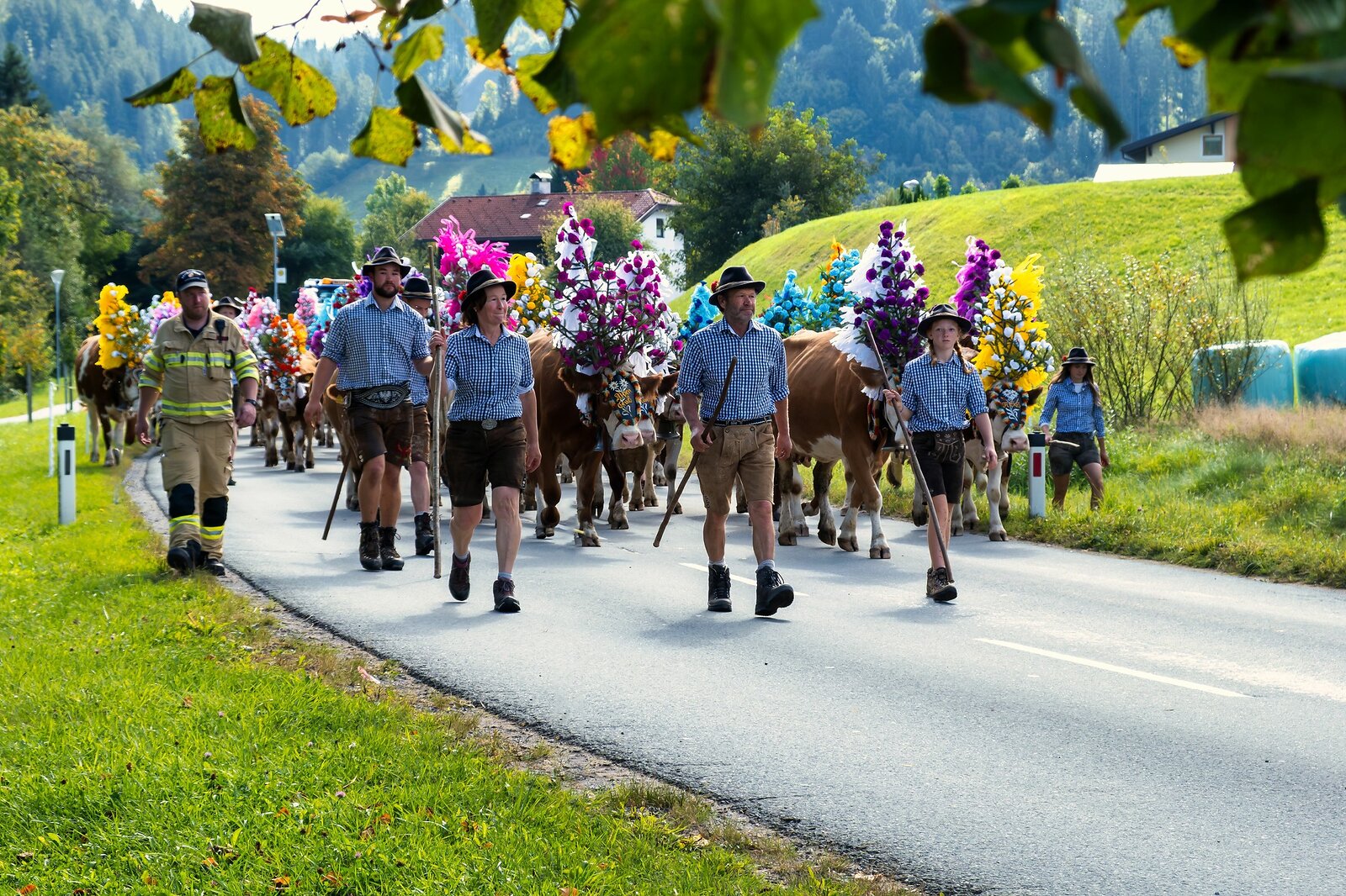 Almabtrieb Hopfgarten