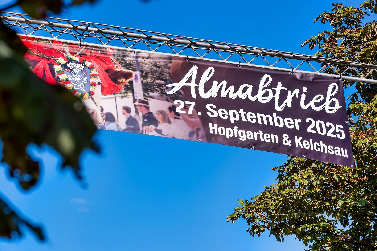 Almabtrieb Hopfgarten