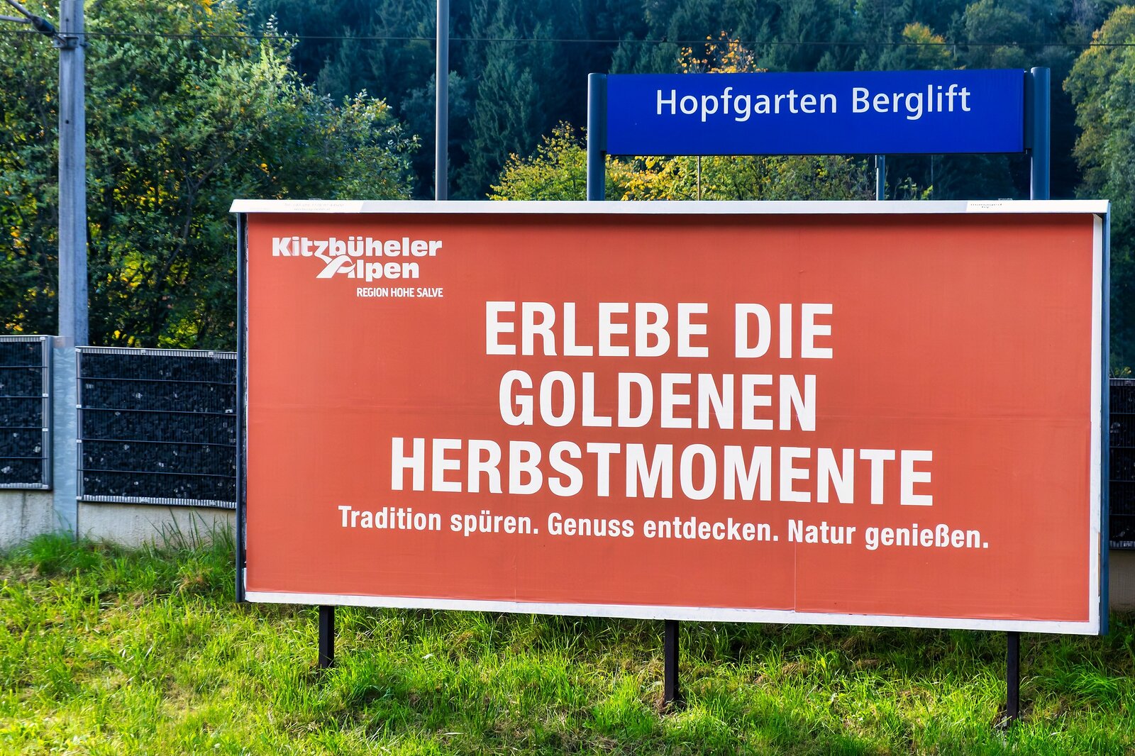 Almabtrieb Hopfgarten