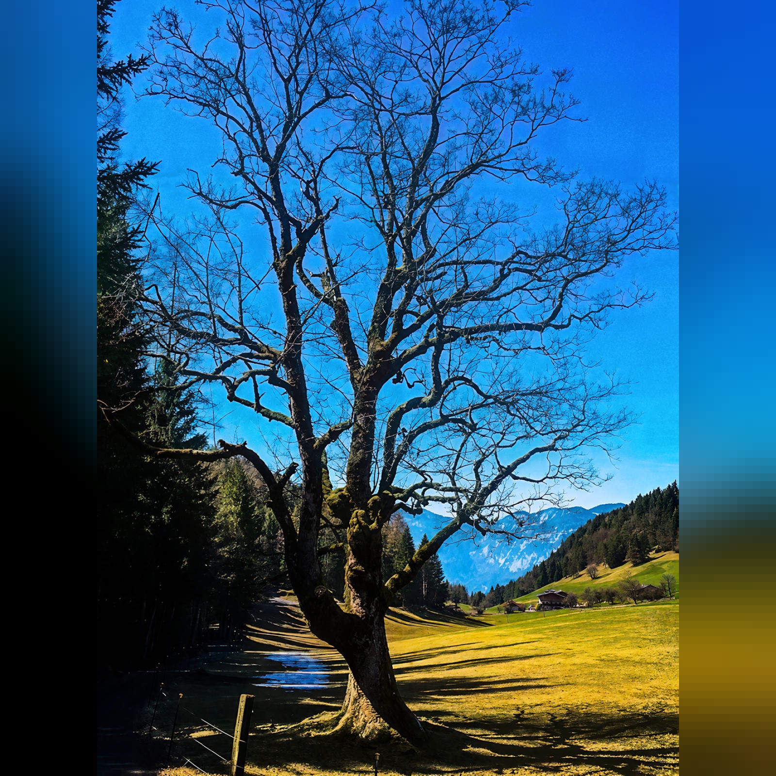 Hinterstein